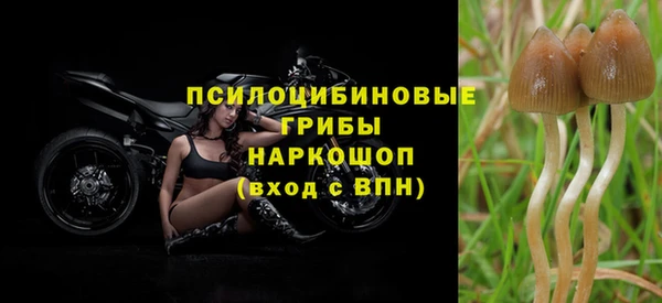 соль курить ск Балабаново