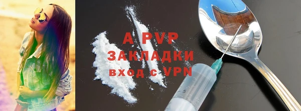 прущие грибы Беломорск