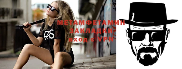 прущие грибы Беломорск