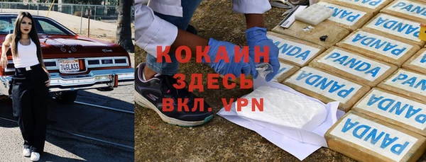 прущие грибы Беломорск