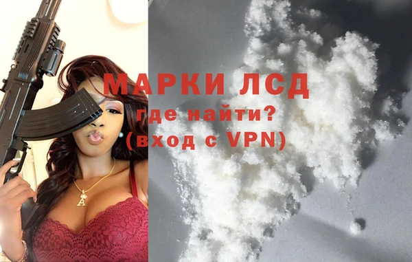 прущие грибы Беломорск