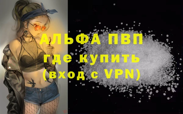 прущие грибы Беломорск