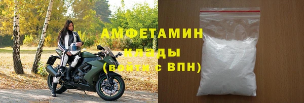 прущие грибы Беломорск