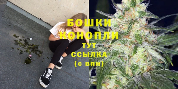 прущие грибы Беломорск