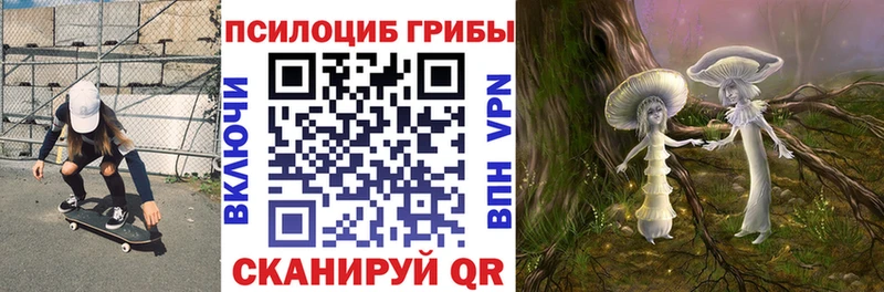 Псилоцибиновые грибы прущие грибы Отрадное